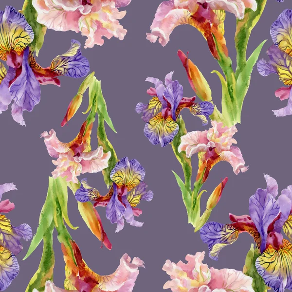 Iris květiny akvarel vzor bezešvé — Stock fotografie