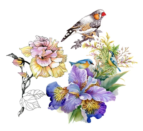 Kleurrijke bloemen en vogels — Stockfoto