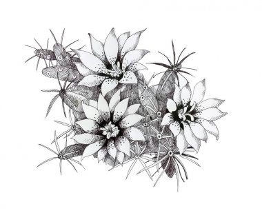 Elle çizilmiş tek renkli çiçekler 