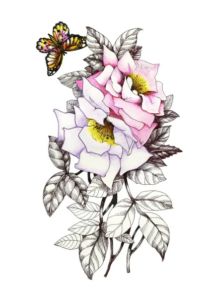 Ruky nakreslené růžový květ — Stock fotografie