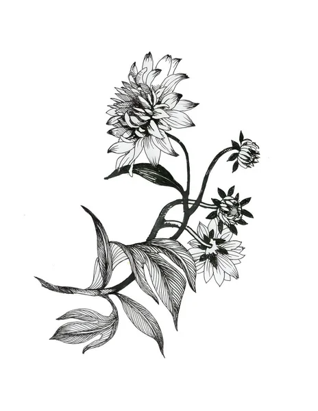 Hand drawn monochrome flowers — Stock Photo, Image
