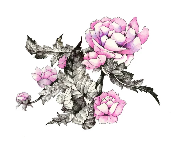 Kézzel rajzolt rózsaszín virág — Stock Fotó