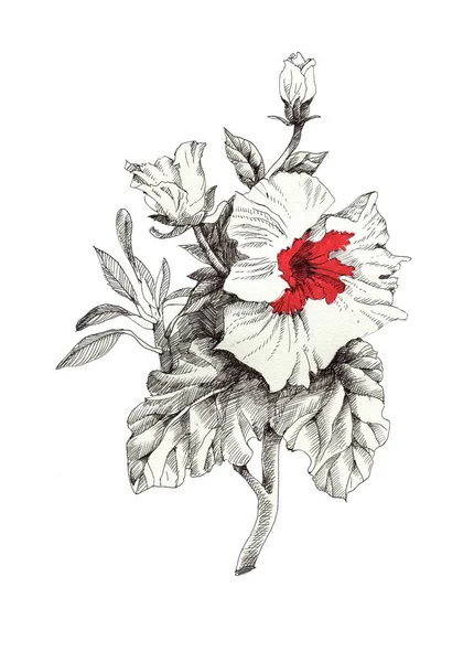Flor vermelha desenhada à mão — Fotografia de Stock