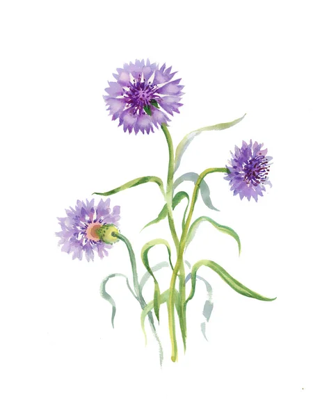 手拉朵紫色的花 — 图库照片