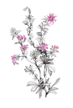 güzel çiçekler el çekilmiş