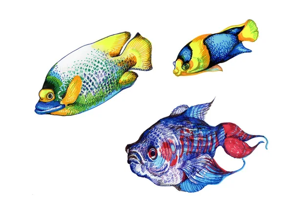 Яскраві барвисті риби — стокове фото