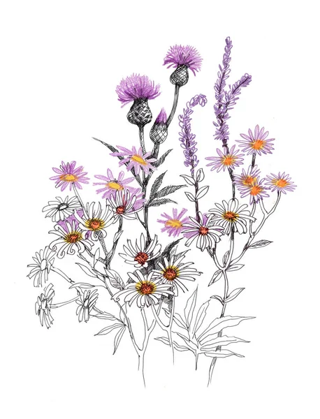 Disegnato a mano bellissimi fiori selvatici — Foto Stock