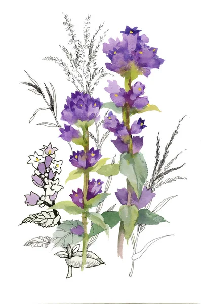 Disegnato a mano bellissimi fiori selvatici — Foto Stock