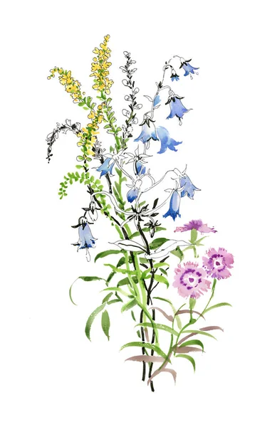 Mano dibujado hermosas flores silvestres —  Fotos de Stock
