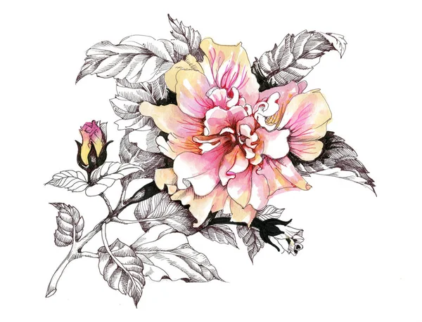 손으로 그린된 꽃 — 스톡 사진