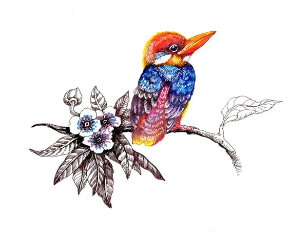Acuarela dibujo pájaro — Foto de Stock