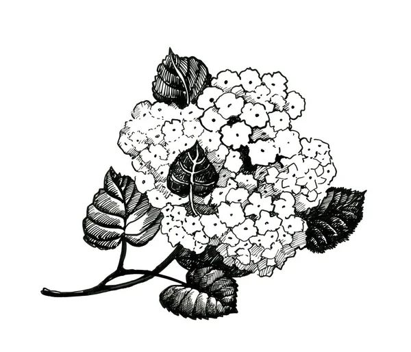 Χέρι, μαύρα και άσπρα λουλούδια — Φωτογραφία Αρχείου