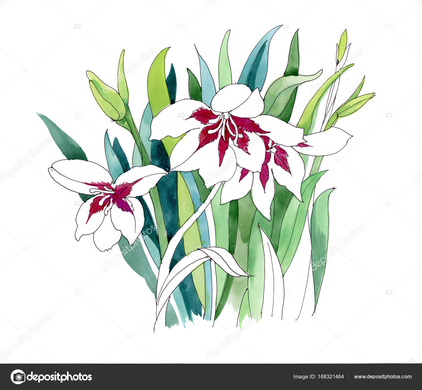 Mano disegnata fiori colorati — Foto Stock