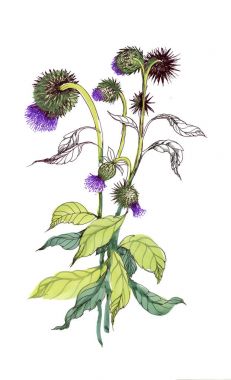 El çizimi renkli çiçekler.