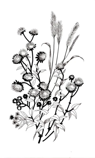 Ręcznie rysowane czarno-białe kwiaty — Zdjęcie stockowe