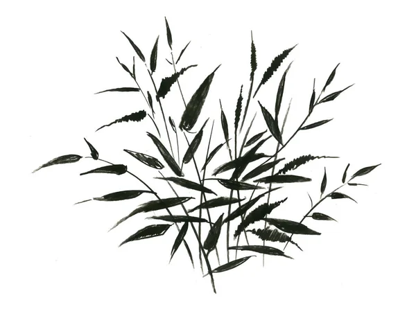 Hand drawn field plants — Stock Photo, Image