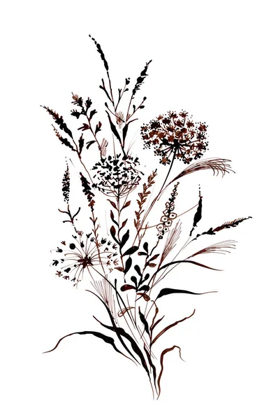 手の描かれたフィールド植物 — ストック写真