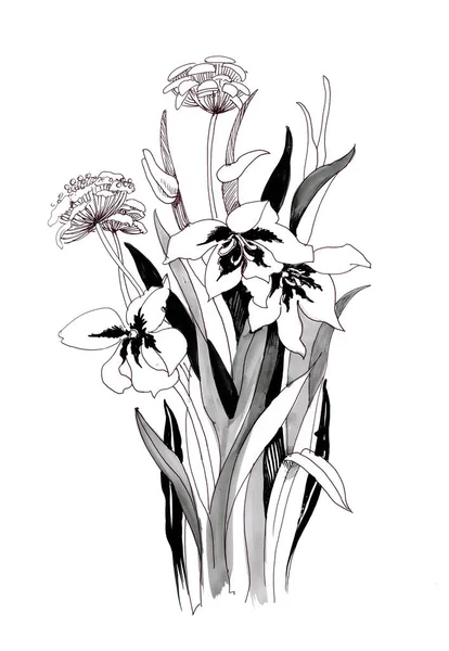 Hand drawn black and white flowers — Stock Photo, Image