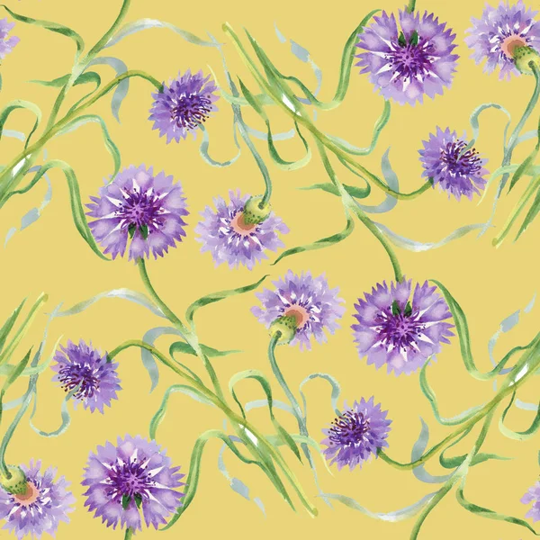 Hand drawn summer cornflowers — Stock Photo, Image