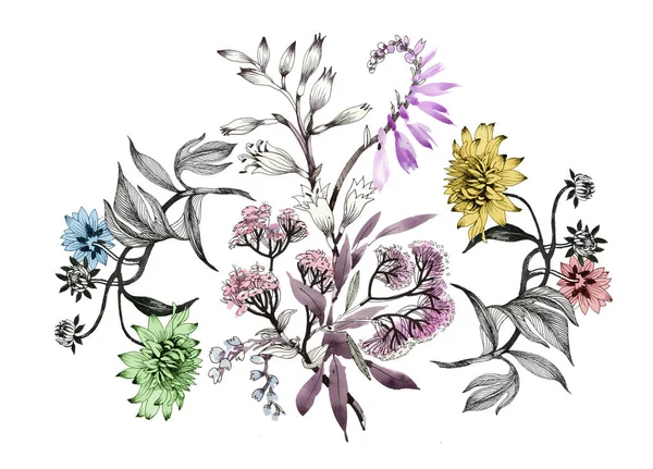 Handgezeichnete Sommerblumen — Stockfoto