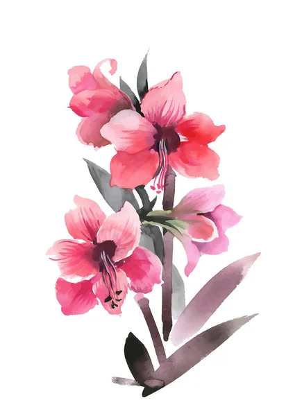 白い背景に分離された手描きの花 — ストックベクタ