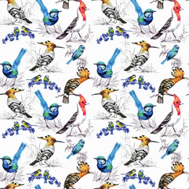 Suluboya el çekilmiş seamless modeli güzel çiçekler ve beyaz arka plan üzerinde renkli kuşlar.