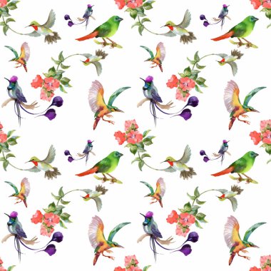 güzel çiçekler ve renkli kuşlar 