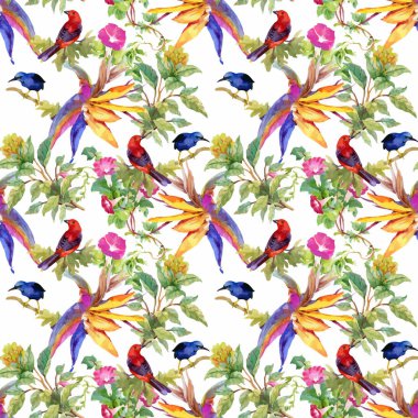 güzel çiçekler ve renkli kuşlar 