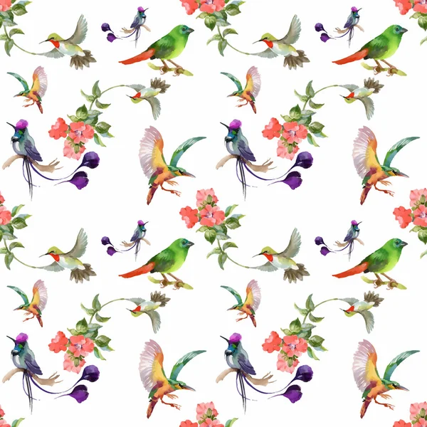 美丽的花朵和五颜六色的鸟儿 — 图库矢量图片