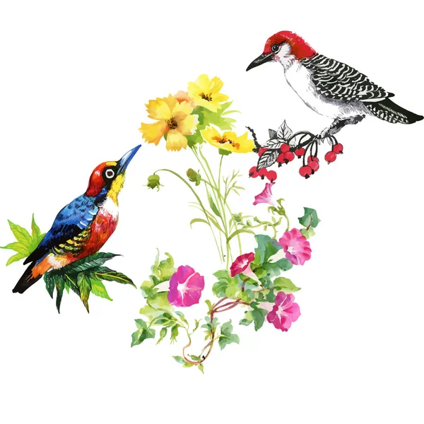 Prachtige bloemen en kleurrijke vogels — Stockvector