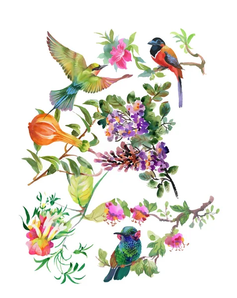 Hermosas flores y coloridas aves — Vector de stock