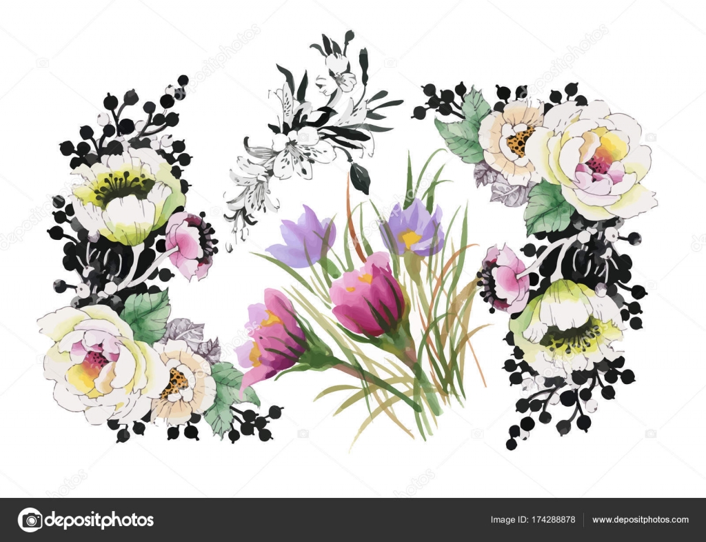 水彩花の組成 ストックベクター C Kostan Proff