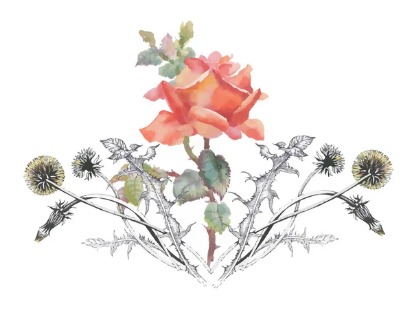 Suluboya çiçek kompozisyon — Stok Vektör