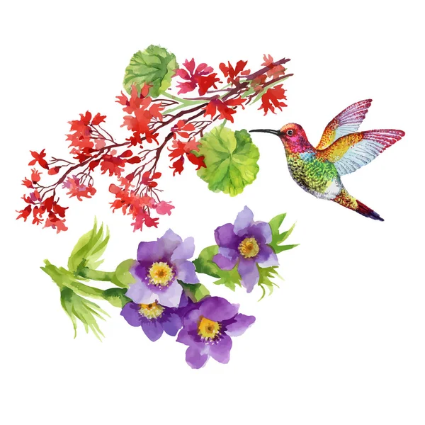 Aquarel floral samenstelling — Stockvector