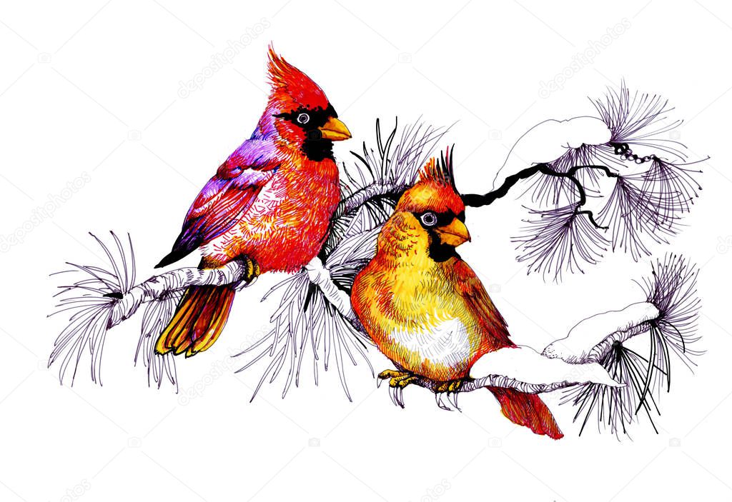 Watercolor birds sitting on a snowy  tree. Hand Painted Floral Greeting Card Illustration