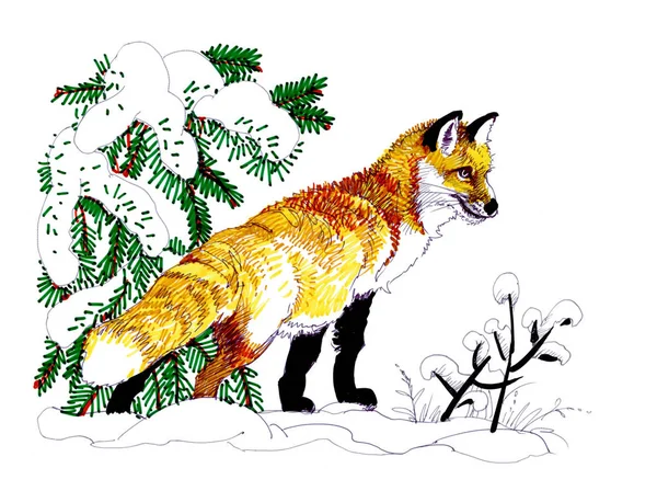 Hand Dras Illustration Med Vinterlandskap Och Little Fox Stående Snön — Stockfoto