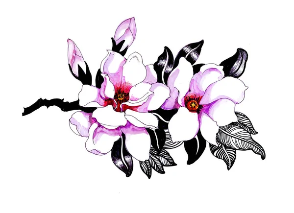 Akvarelu Ruku Tažené Bezešvé Vzor Krásné Květy Barevné Ptáky Bílém — Stock fotografie