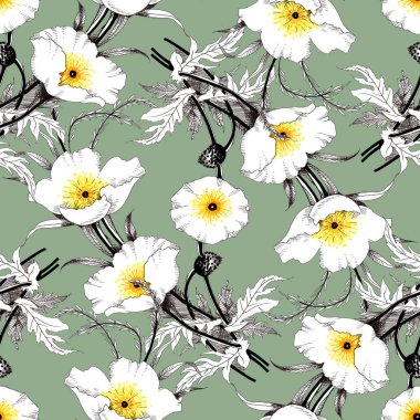 Suluboya el çekilmiş seamless modeli güzel çiçekler ve beyaz arka plan üzerinde renkli kuşlar.