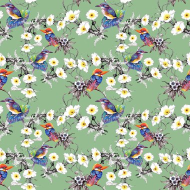 Suluboya el çekilmiş seamless modeli güzel çiçekler ve beyaz arka plan üzerinde renkli kuşlar.