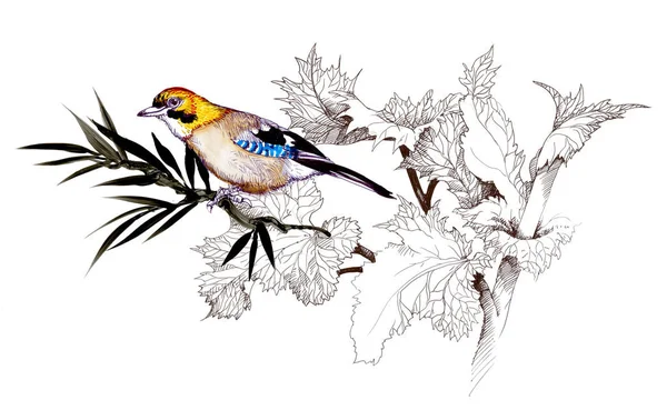 Aquarelle Illustration Dessinée Main Avec Belles Fleurs Oiseau Coloré Sur — Photo