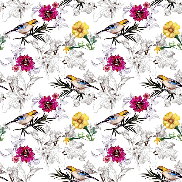 与美丽的花朵和颜色鲜艳的鸟 在白色背景上水彩手绘制无缝模式 — 图库照片