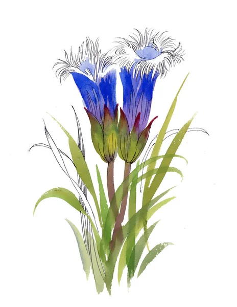 白い背景に分離された手描きの花 — ストック写真