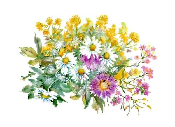 Fiori disegnati a mano isolati su sfondo bianco — Foto Stock