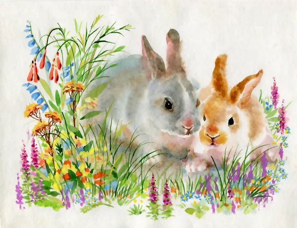 Акварельные Кролики Зеленой Траве — стоковое фото