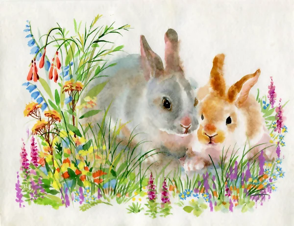 Lapins Aquarelle Dans Herbe Verte — Photo