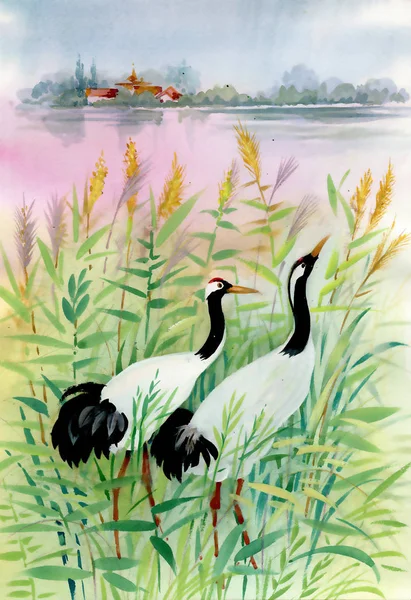 Watercolor Birds Reeds Leaves River — Stock Photo, Image