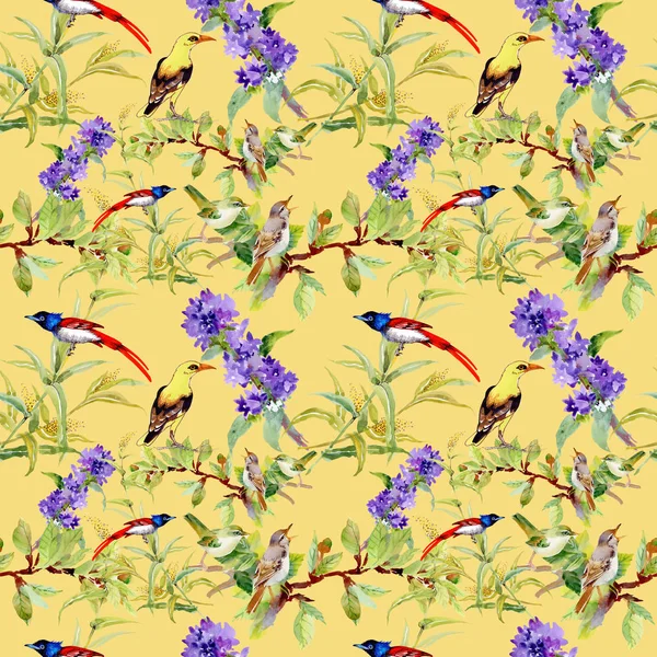 Naadloze Patroon Met Vogels Violette Bloemen — Stockfoto