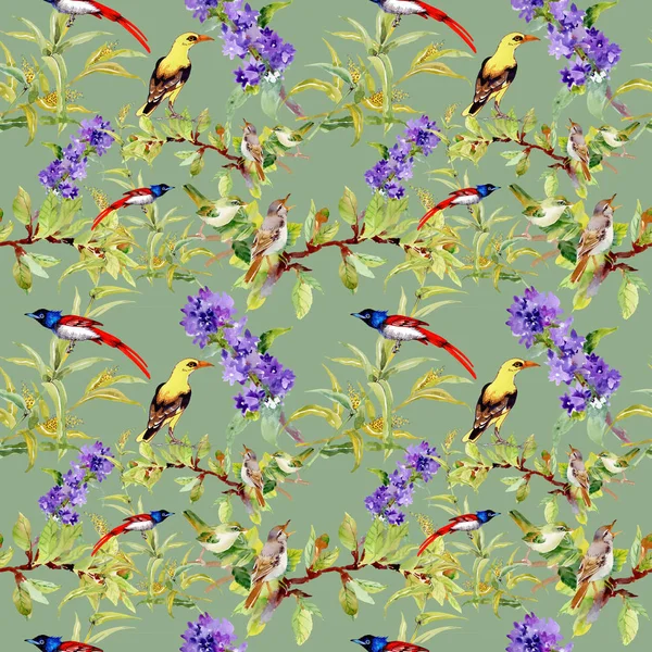 Motif Sans Couture Avec Des Oiseaux Sur Les Fleurs Violettes — Photo