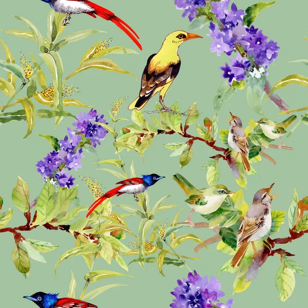 Wzór Ptaków Fioletowe Kwiaty — Zdjęcie stockowe