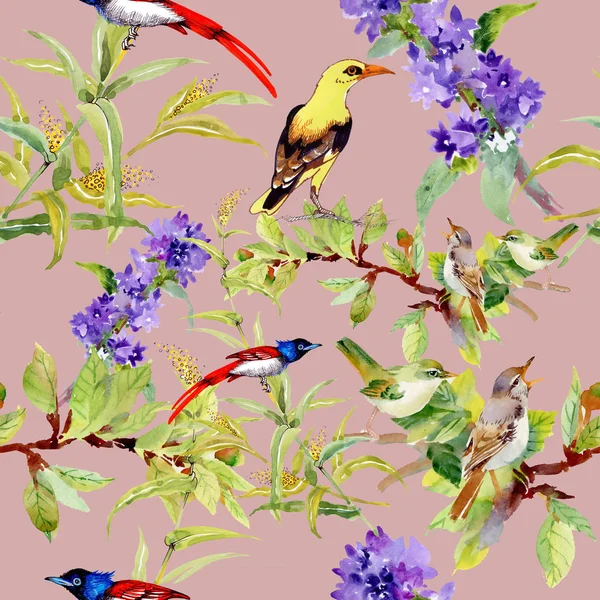 Patrón Sin Costuras Con Pájaros Flores Violetas — Foto de Stock